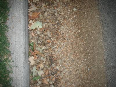 a nice gradient of crushed acorns along the curb
